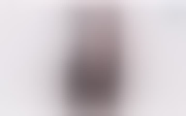 Elena Vasileva — видео 3