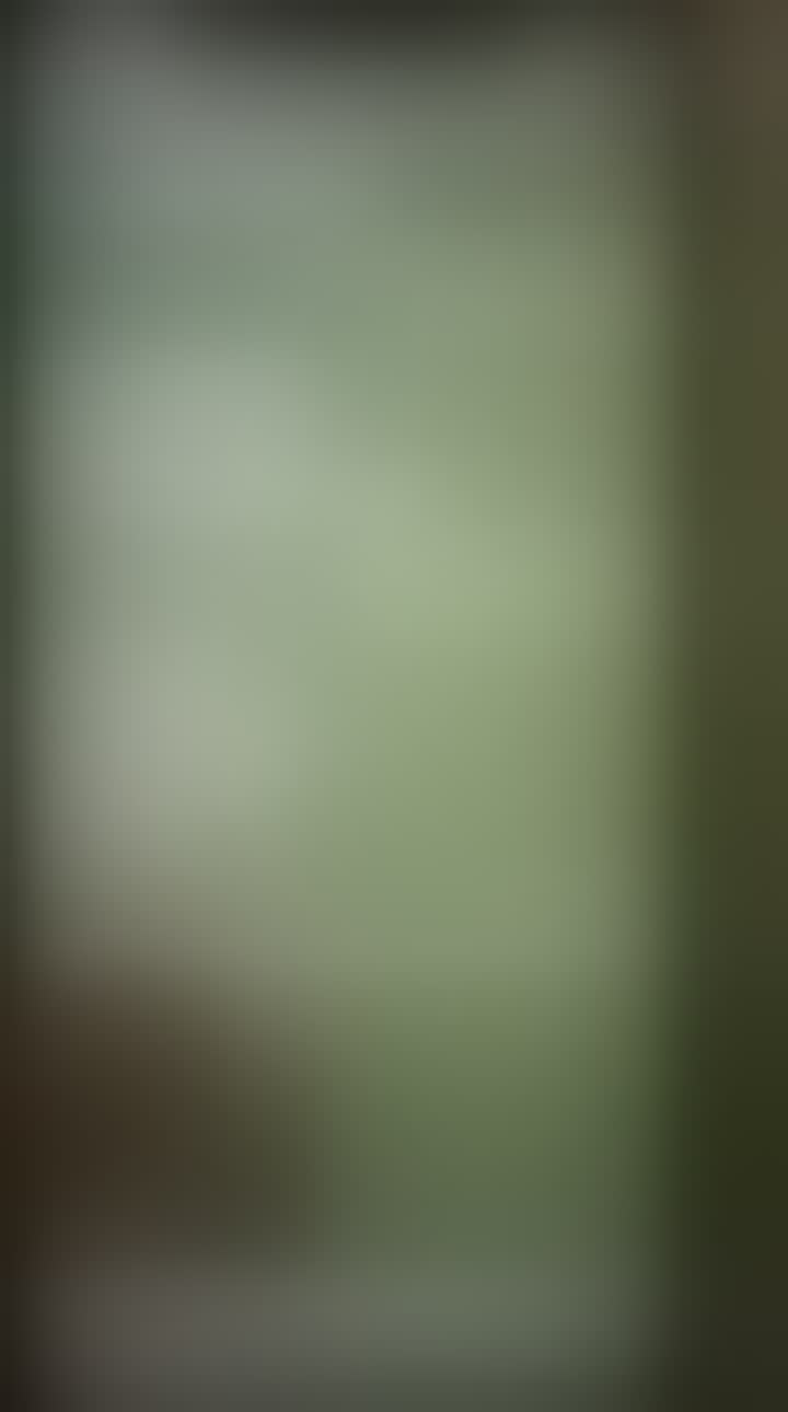 Spirina Alina — видео 5
