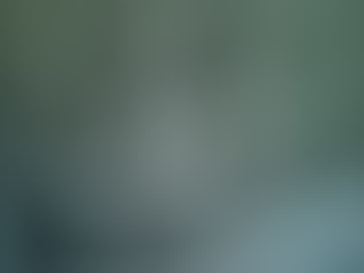 Скрипник Олеся — видео 1