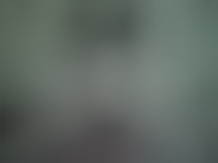 Скрипник Олеся — видео 3