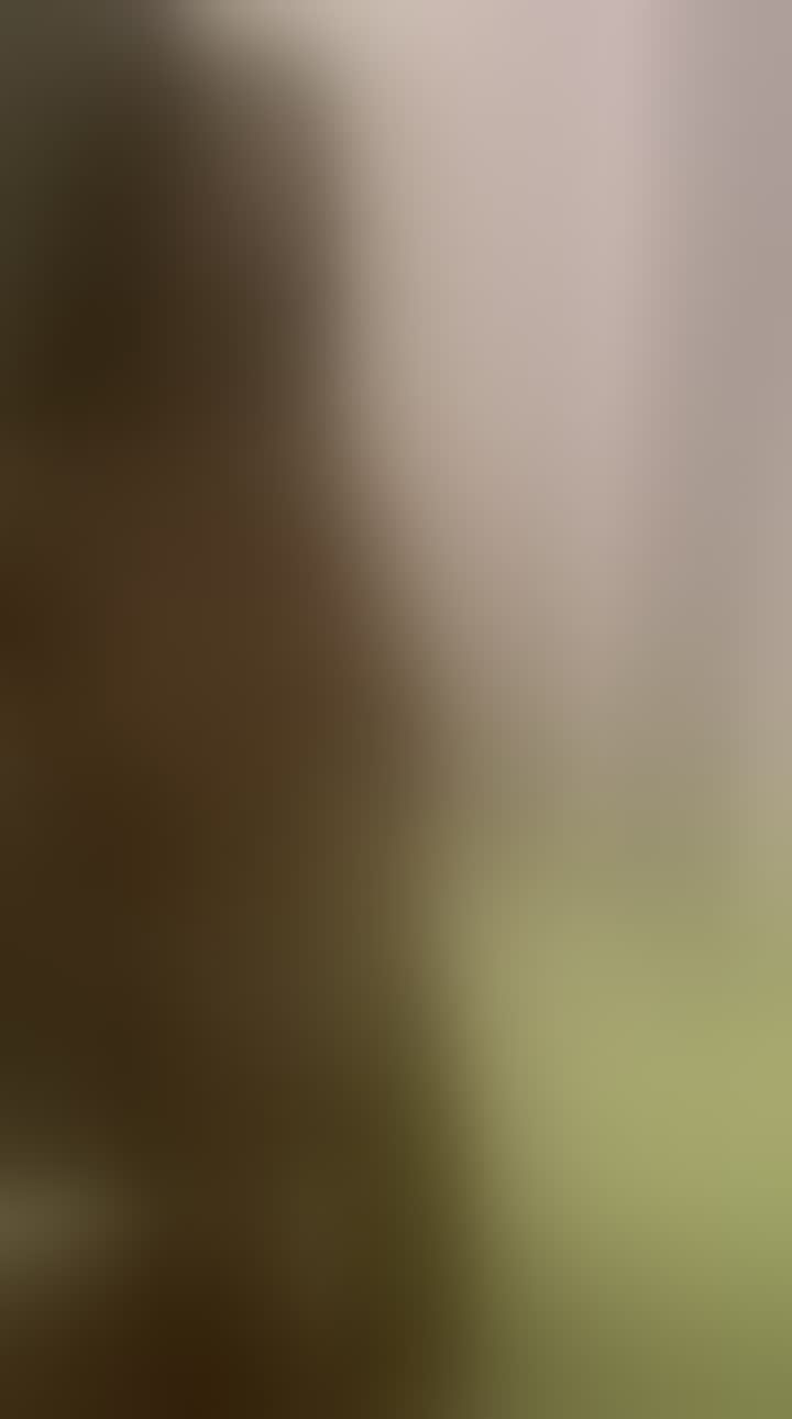 Vlada — видео 2
