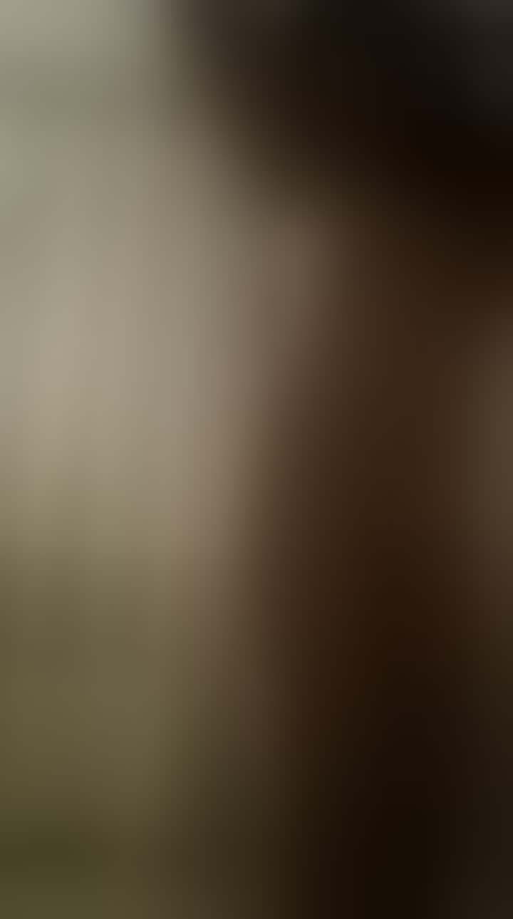 Svetlana Kadirova — видео 2