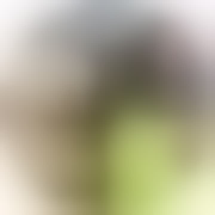 Agnesiya Zgardan — видео 3
