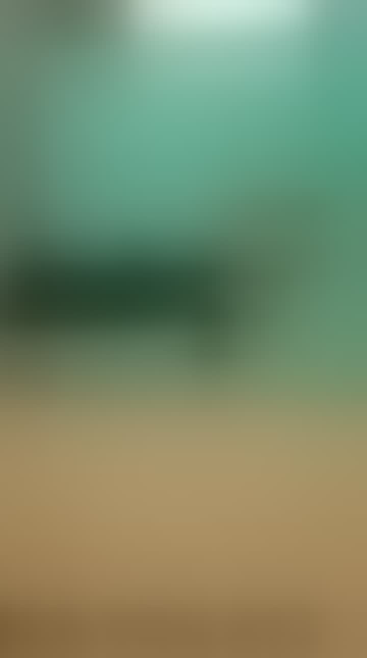 Вероника Вилей — видео 2