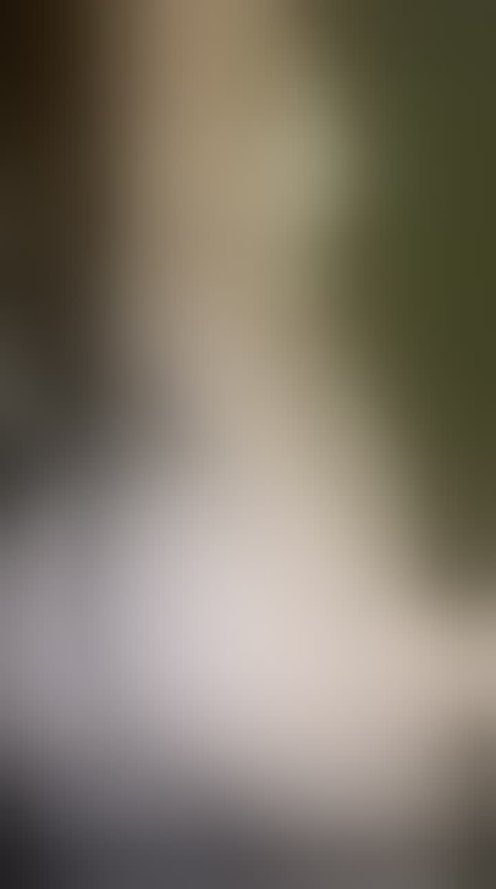 Миронова Алёна Романовна — видео 1