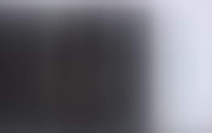Колесникова Светлана — видео 1