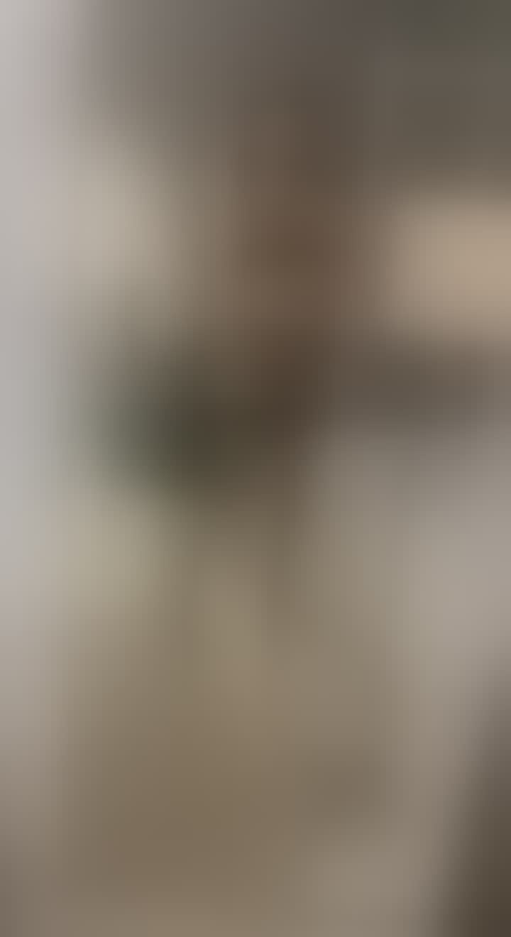 Пономарева (Галеева) Альбина Анваровна — видео 3