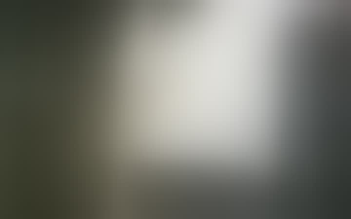 Корсун Анастасия — видео 1
