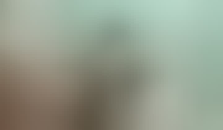 Фомина Лида — видео 9