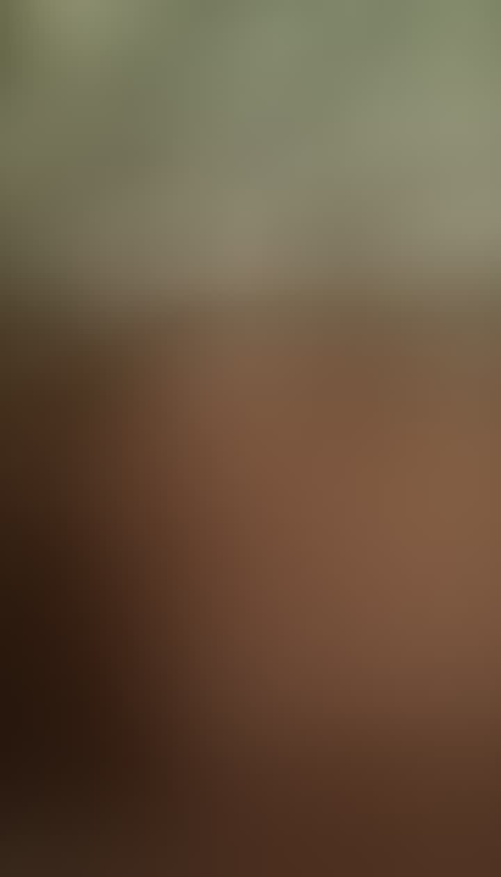 Вечерик Мария — видео 4