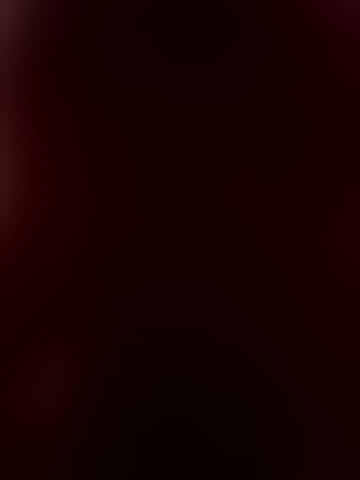 Литвинова Дарья — видео 4