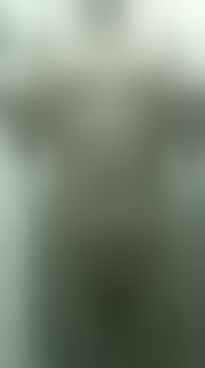 Лика — видео 1