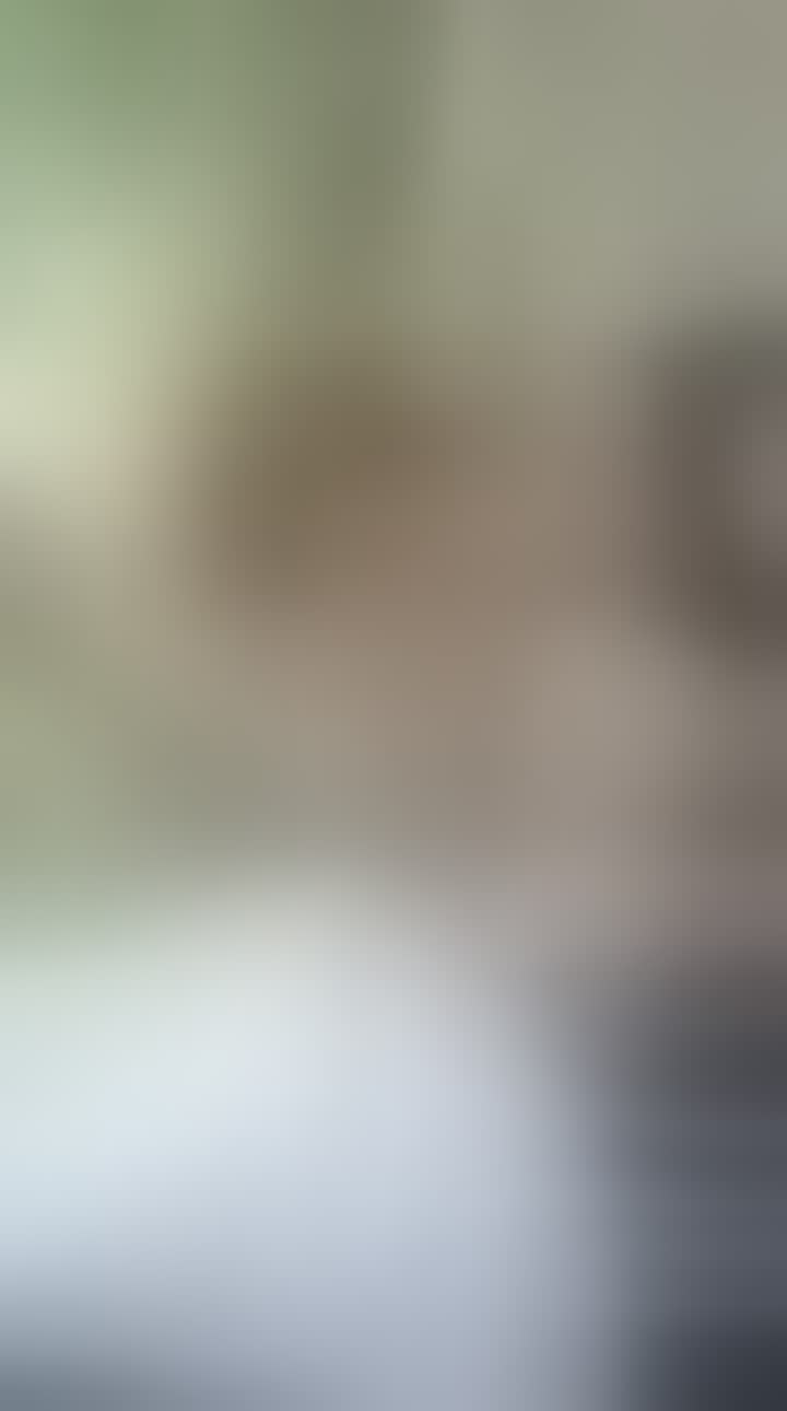 Новикова Валерия — видео 1