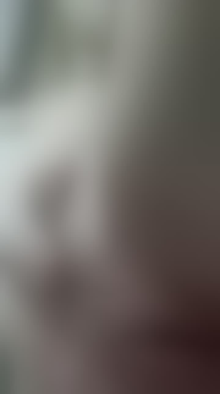 Солдатова Дарья — видео 1