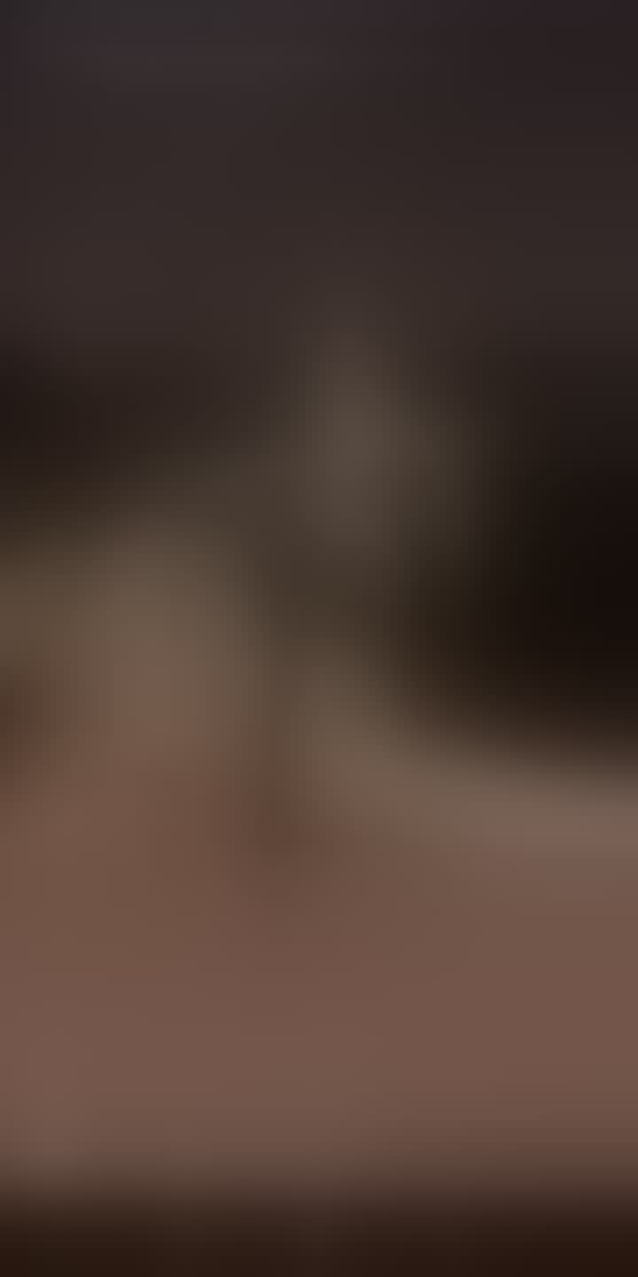 Шухевич София — видео 1