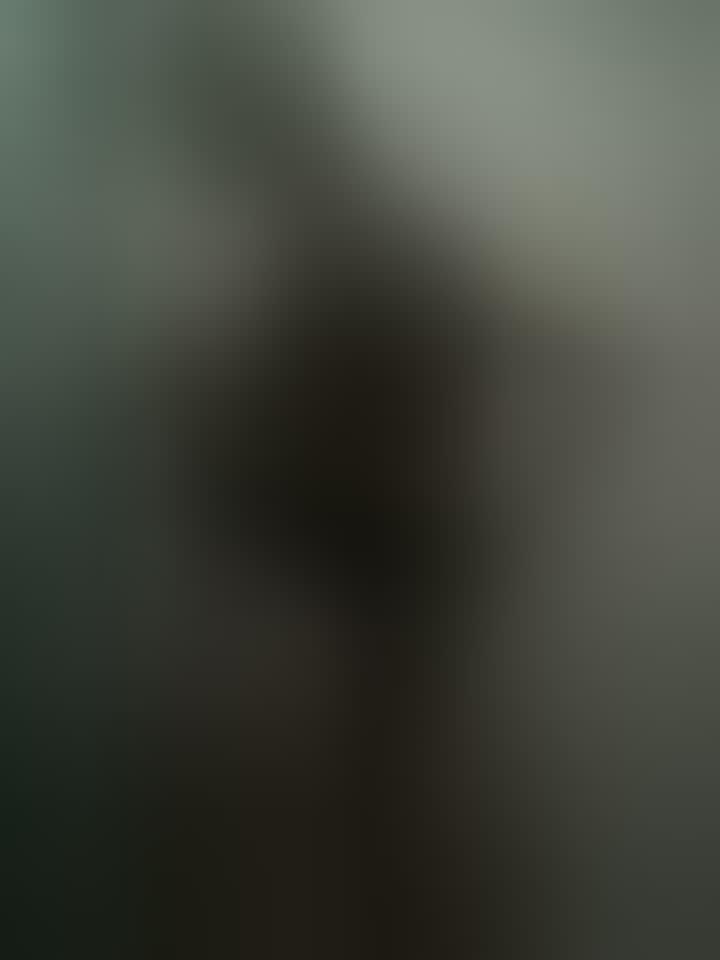 Влада — видео 1