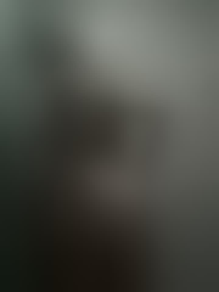 Влада — видео 2