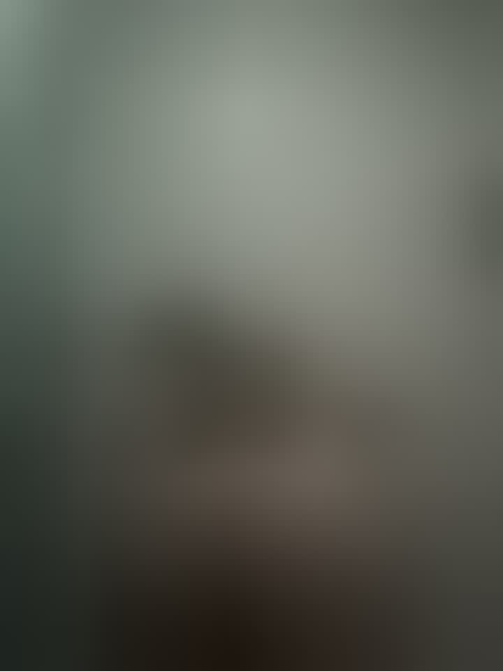 Влада — видео 3