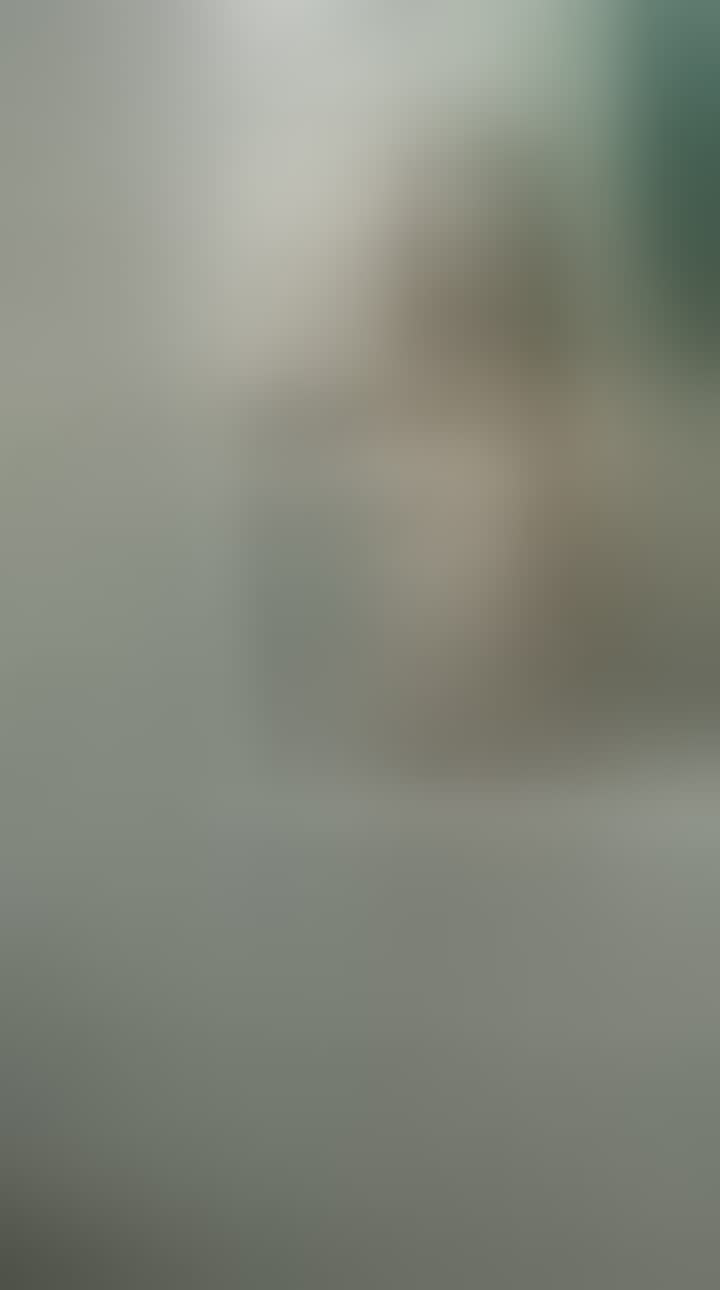 Вишневецкая Валерия — видео 1