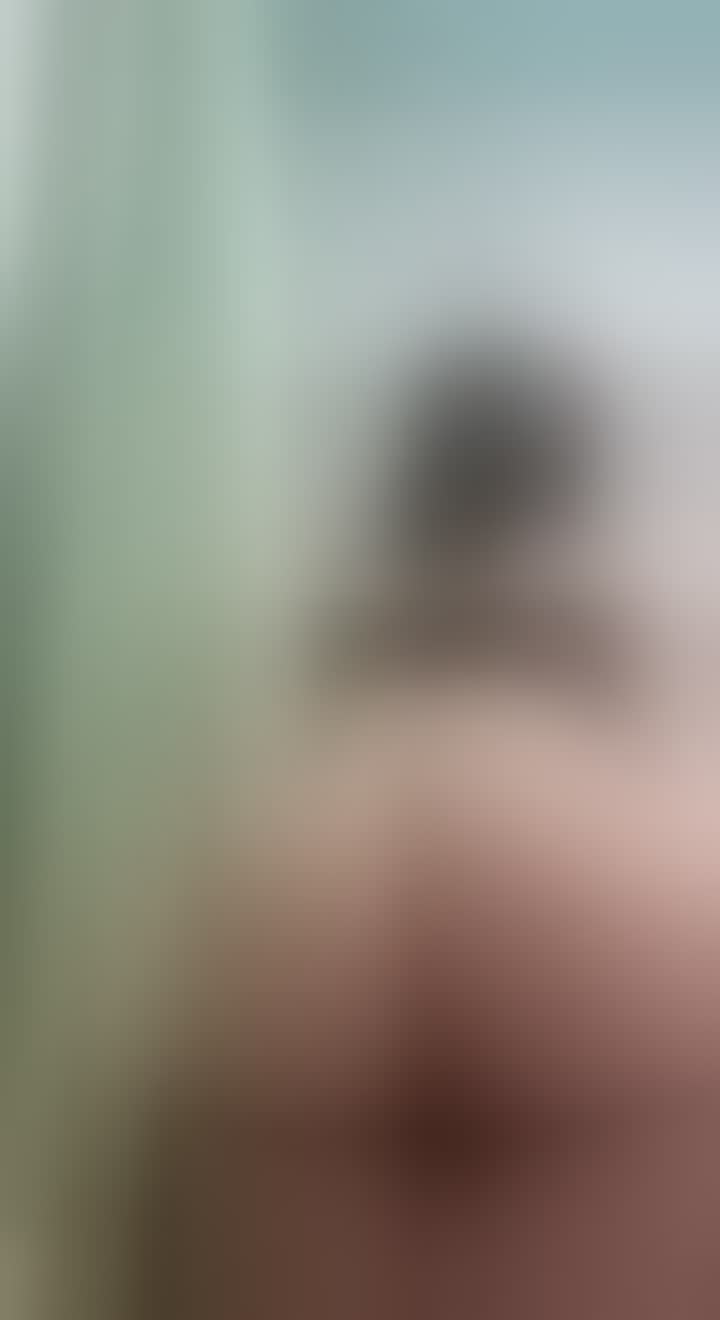 ХЗ — видео 9