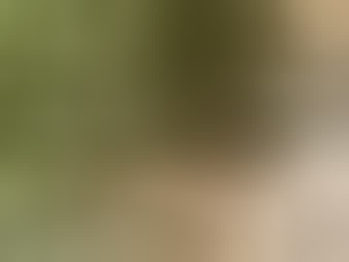 Gayduk Liliya — видео 1