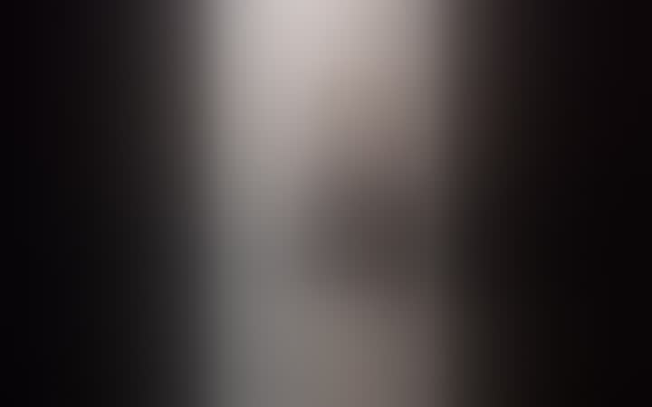 Пришлова Светлана — видео 1