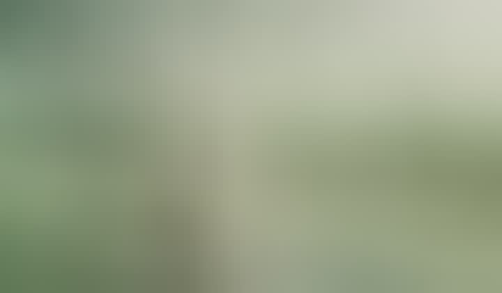Mariya Olesova — видео 4