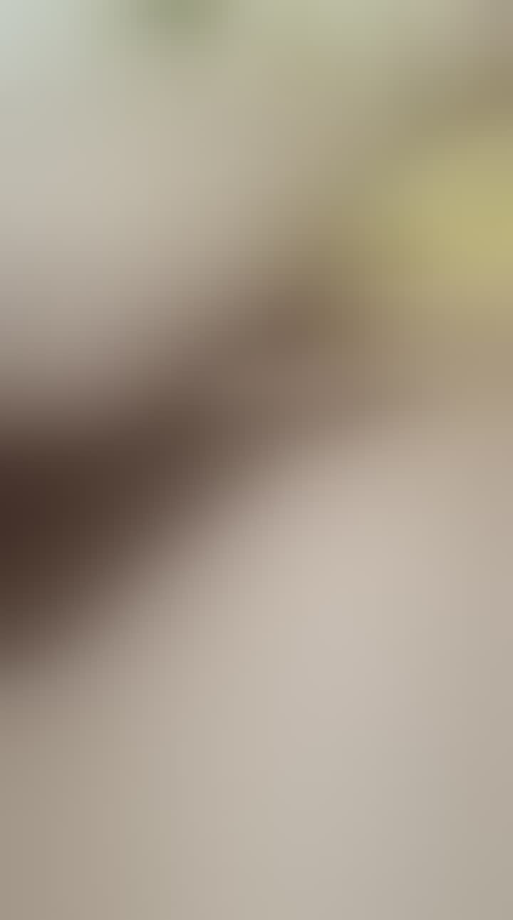 Diana Derecha — видео 1